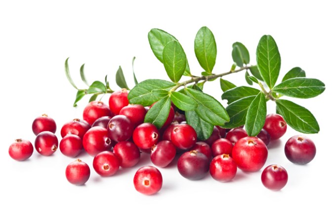 Arándano rojo.- Excelente desinflamatorio, rico en antioxidante y ayuda a incrementar las encimas hepáticas.