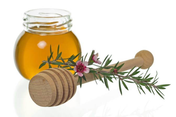 Miel Manuka.- antibacterial natural, también conocida por sus propiedades curativas.