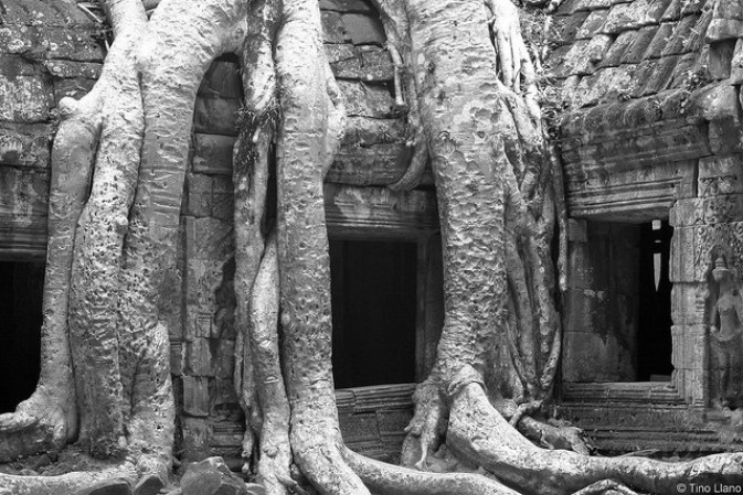 Camboya.