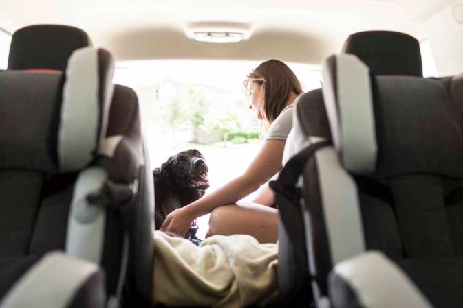 Duke: el perro con cáncer que inundó las redes con lágrimas.