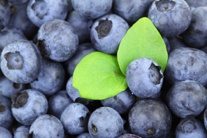 Contienen una de las concentraciones más altas de antioxidantes en el reino de las frutas. Entre ellos, la antocianina, que de acuerdo con WebMD, ha demostrado ser benéfica para reducir el riesgo de presión arterial alta.