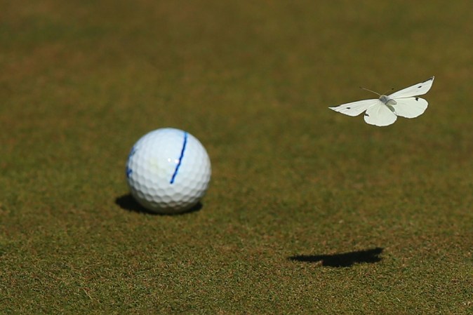 MELBOURNE, AUSTRALIA: LPGA Australian Open