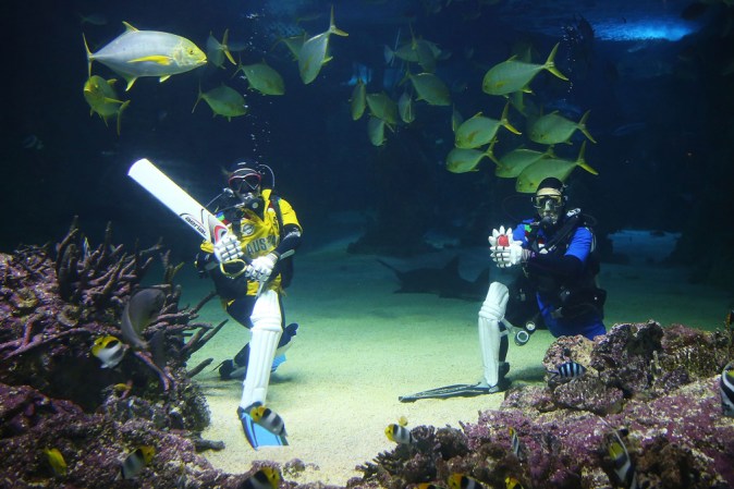 SYDNEY, AUSTRALIA: SEA LIFE Sydney Aquarium