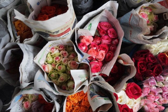 Número estimado de flores cultivadas para esta fiesta: 233 millones.