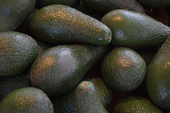 Aguacate