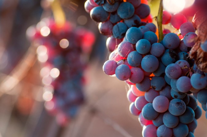 13. Uvas: sus propiedades antioxidantes y alto contenido de vitamina B y potasio te ayudarán a controlar tus niveles de colesterol