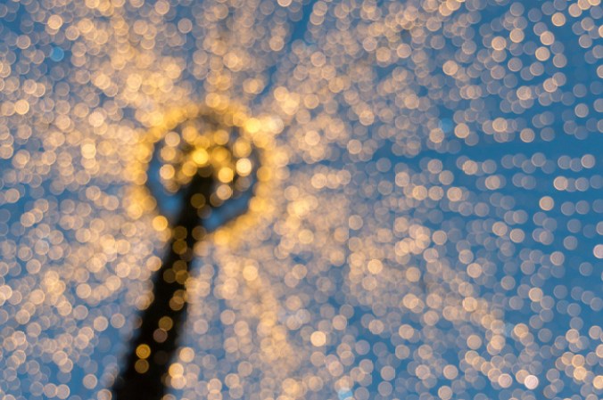 Aura, es decir luces parpadeantes, líneas de luz ó puntos de luz.