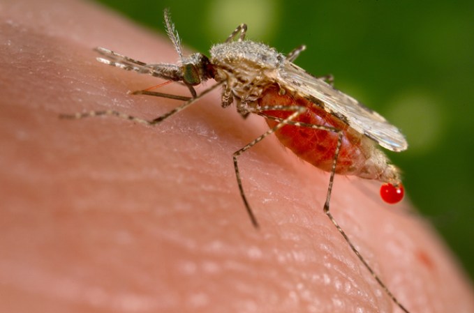 Malaria causada por el parásito conocido como Plasmodium, transmitido por la picadura de un mosquito del género anófeles.