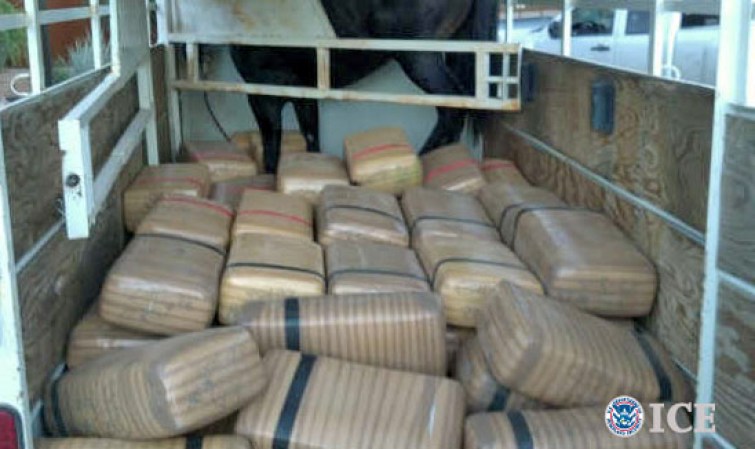 Para los amantes de los animales también hay formas de traficar. Las autoridades en Arizona confiscaron 2,900 libras de marihuana dentro de un tráiler para caballos.