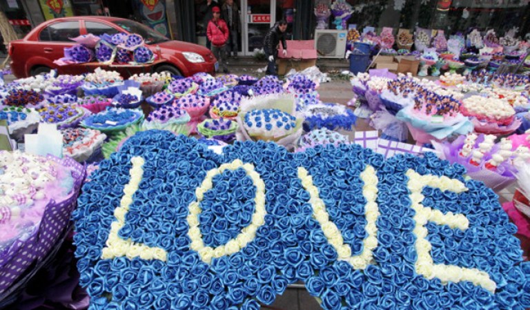 ¿Quién le puede decir no al amor? Miren como las personas (y animales) celebran el día del amor y la amistad alrededor del mundo.