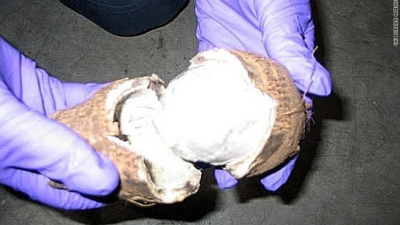 O lo que sea que tenga un espacio y se pueda envolver… tal es el caso de estos narcotraficantes que metieron cocaína dentro de un tipo de nuez.