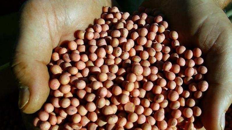 ...los productos de soya,...