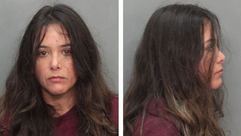 Erika Zimmerman fue arrestada el 2/23/13 acusada de : <br />TRESPASS PROPERTY/AFTER WARNING