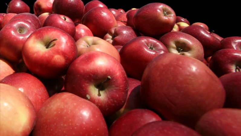 Una manzana al día mantiene alejada la grasa. La pectina que contiene la cáscara retrasa la digestión, por lo que la comida está más tiempo en el estómago y te hace sentir lleno.