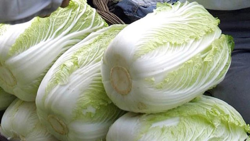 El col o repollo contiene sulfuro y yodo, químicos que ayudan a metabolizar las grasas.