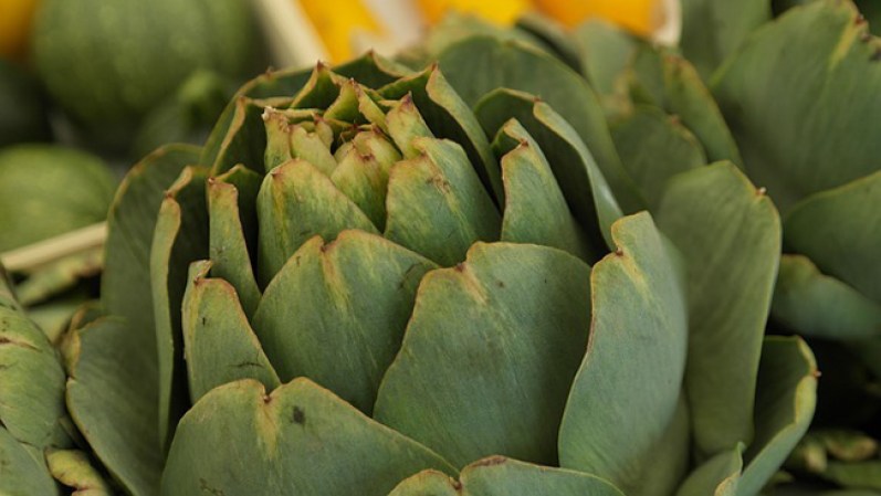 Alcachofa