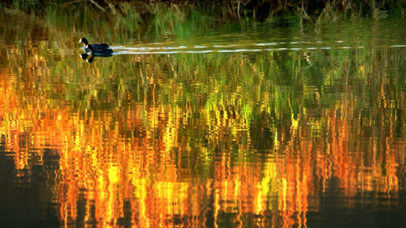 Río Colorado inunda delta en México