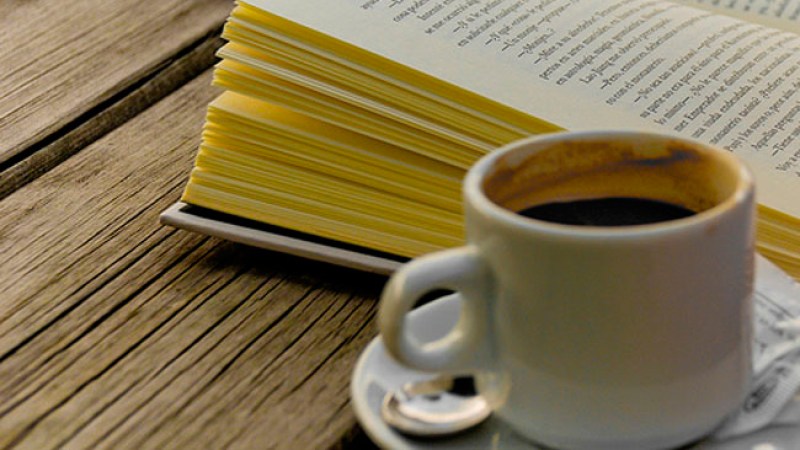 El café, 6° fruto de mayor exportación en México
