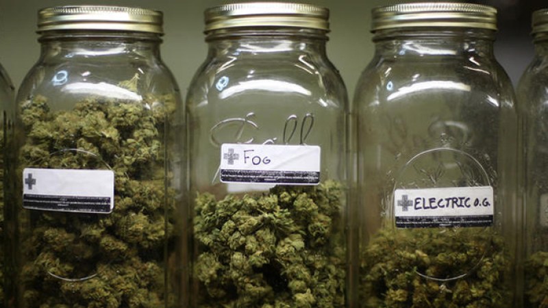 Apoyan la marihuana medicinal en México