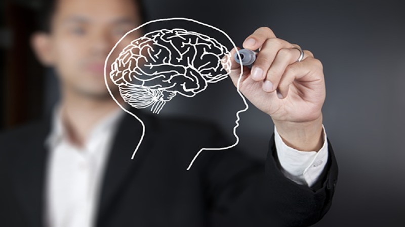 Lo cambios que genera el sedentarismo en el cerebro