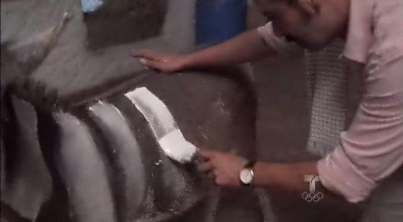El cuñado de Pablo Escobar pinta a unos burros como zebras.
