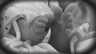 030413-baby-feet