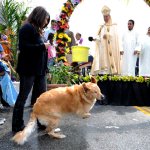Blessing of Animals 2