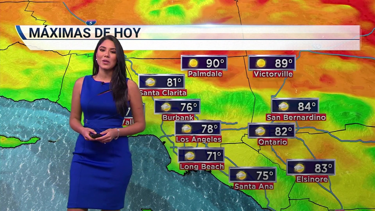 El tiempo hoy Telemundo 52