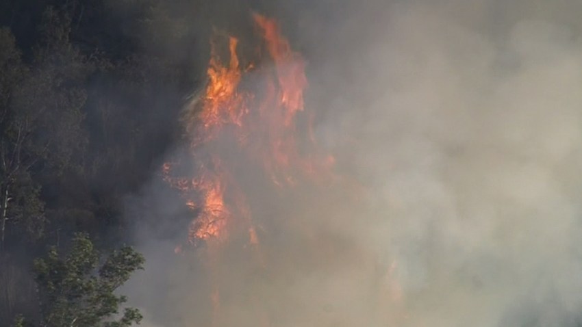 11-09-2011 Griffith Park Fire