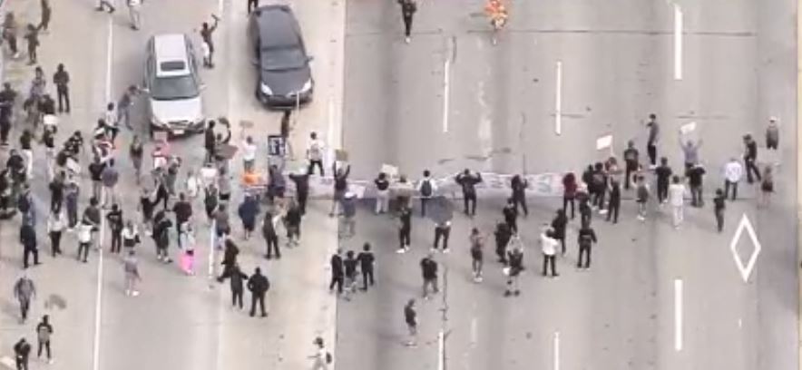 405 Freeway Protest