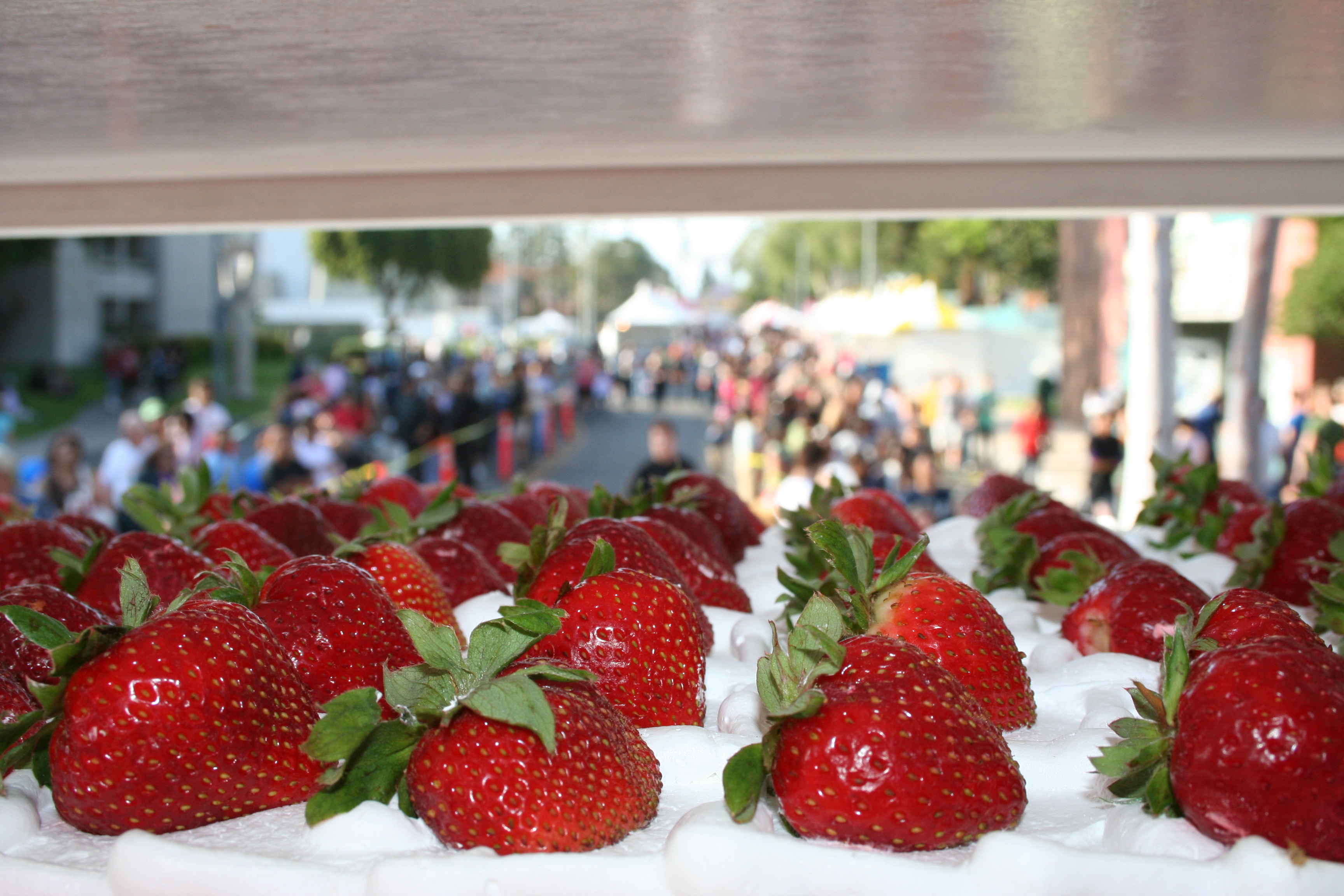 feria del condado de ventura