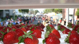 Garden Grove Strawberry Festival