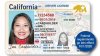 Propuesta de ley brindaría identificaciones oficiales de California a personas indocumentadas