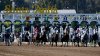 El Parque Santa Anita pide al condado de Los Ángeles permitir reanudar las carreras de caballos