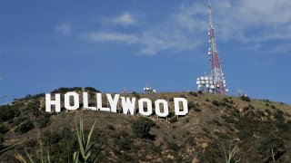 56331184DL003_HollySign