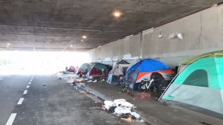 Homeless-Los-Angeles-possible-solution-November-2019