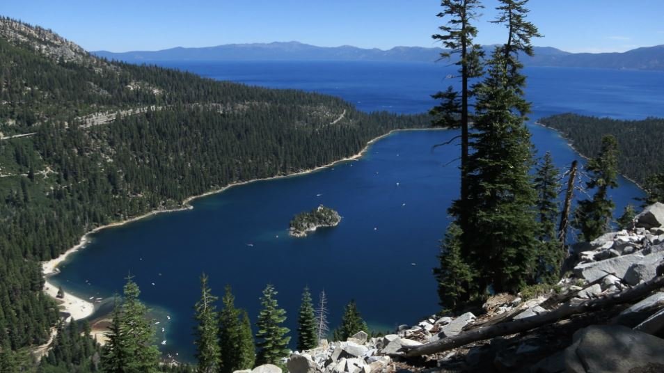 Con 14 años, James Savage, se convierte en la persona más joven en nadar la longitud de Lake Tahoe – Telemundo 52 - Vimarsana News