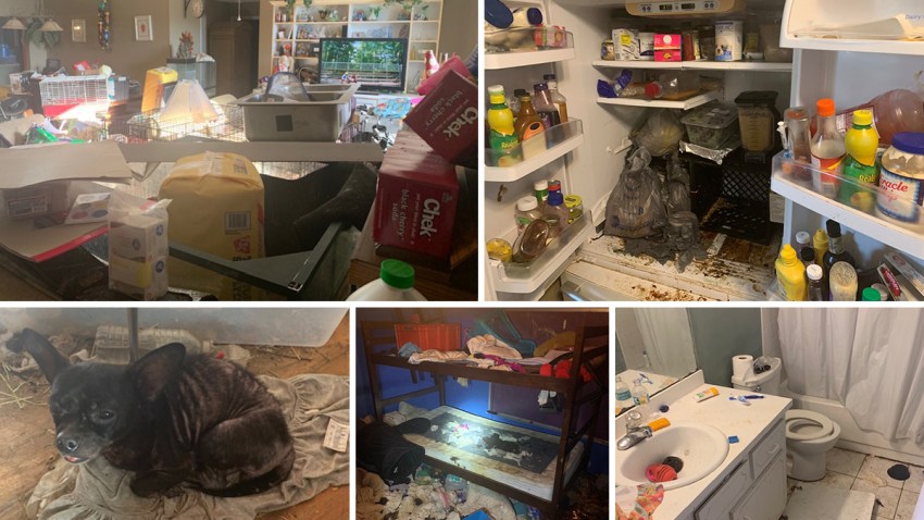 TLMD-EdgewatercasaDeplorable