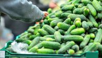 TLMD-generica-pepinos-shutterstock_112030739