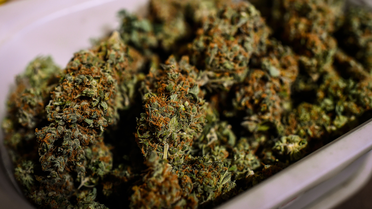 Legalización Del Cannabis. Pipa Para Fumar Marihuana CBD Y THC En