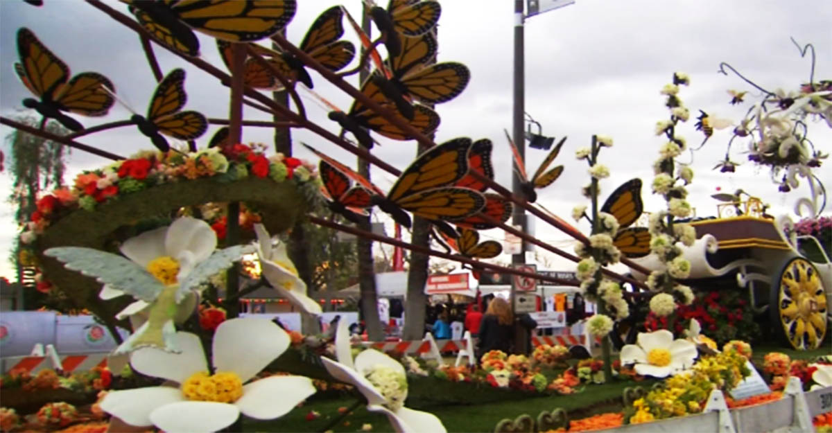 Pasadena exhiben las carrozas del Desfile de las Rosas Telemundo 52