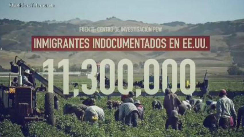 cifra-indocumentados