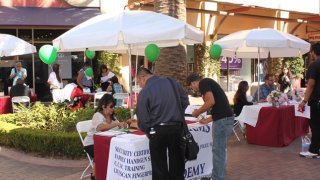 citadel job fair