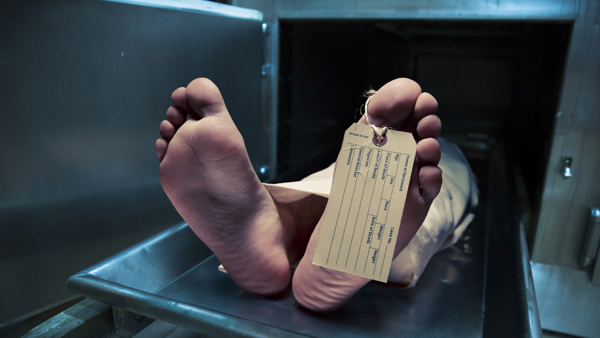 morir por una erección morir por una erección