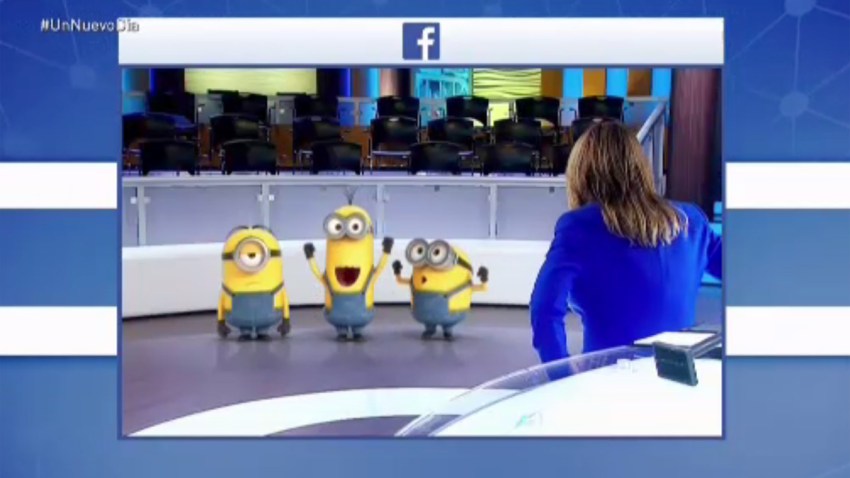 Minions se burlan de la doctora Polo Telemundo 52
