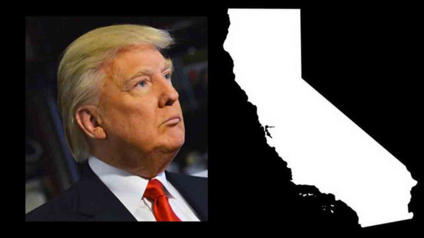 donald trump gana primarias california telemundo 52 los angeles