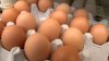 CNBC: Se dispara el precio del huevo, mientras el del pollo decrece; esta es la razón