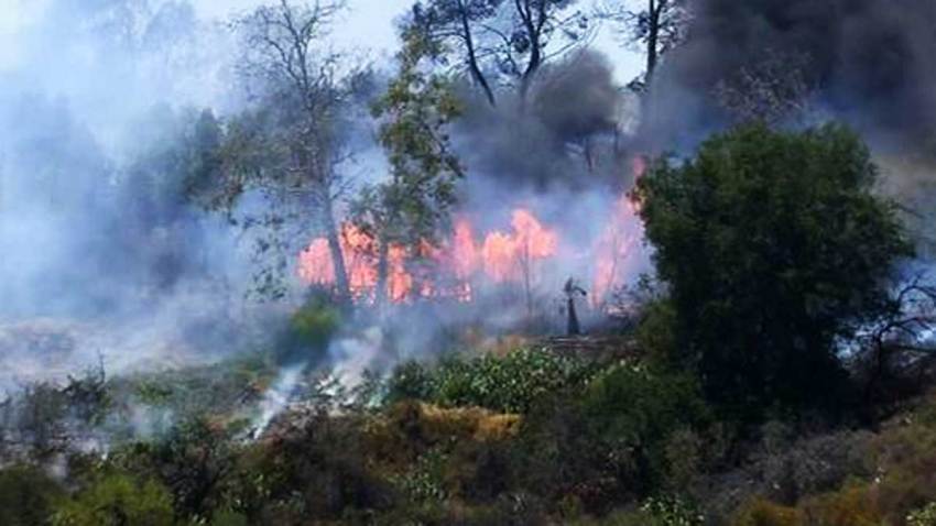 incendio-irvine-condado-orange-california