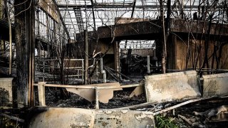 El incendio destruyó el zoológico.