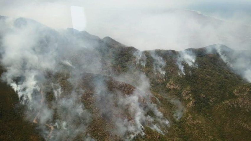 mexico-incendios-forestales-activos